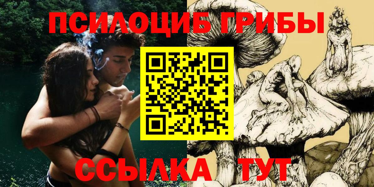 Псилоцибиновые грибы Cubensis Ликино-Дулёво
