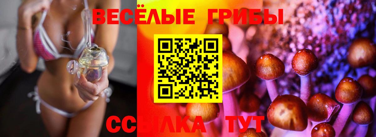 Ликино-Дулёво  Галлюциногенные грибы ЛСД  Вход с VPN 